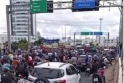 Agricultores afetados pela reserva da vida silvestre Tatu-bola fazem protesto na Ponte Presidente Dutra