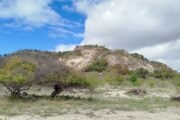 Expedição ao Serrote do Gato: uma viagem ao coração da Caatinga
